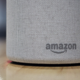 Image for article titled Alexa's Sneaky Fine Print Could Prevent You From Suing Amazon for Anything